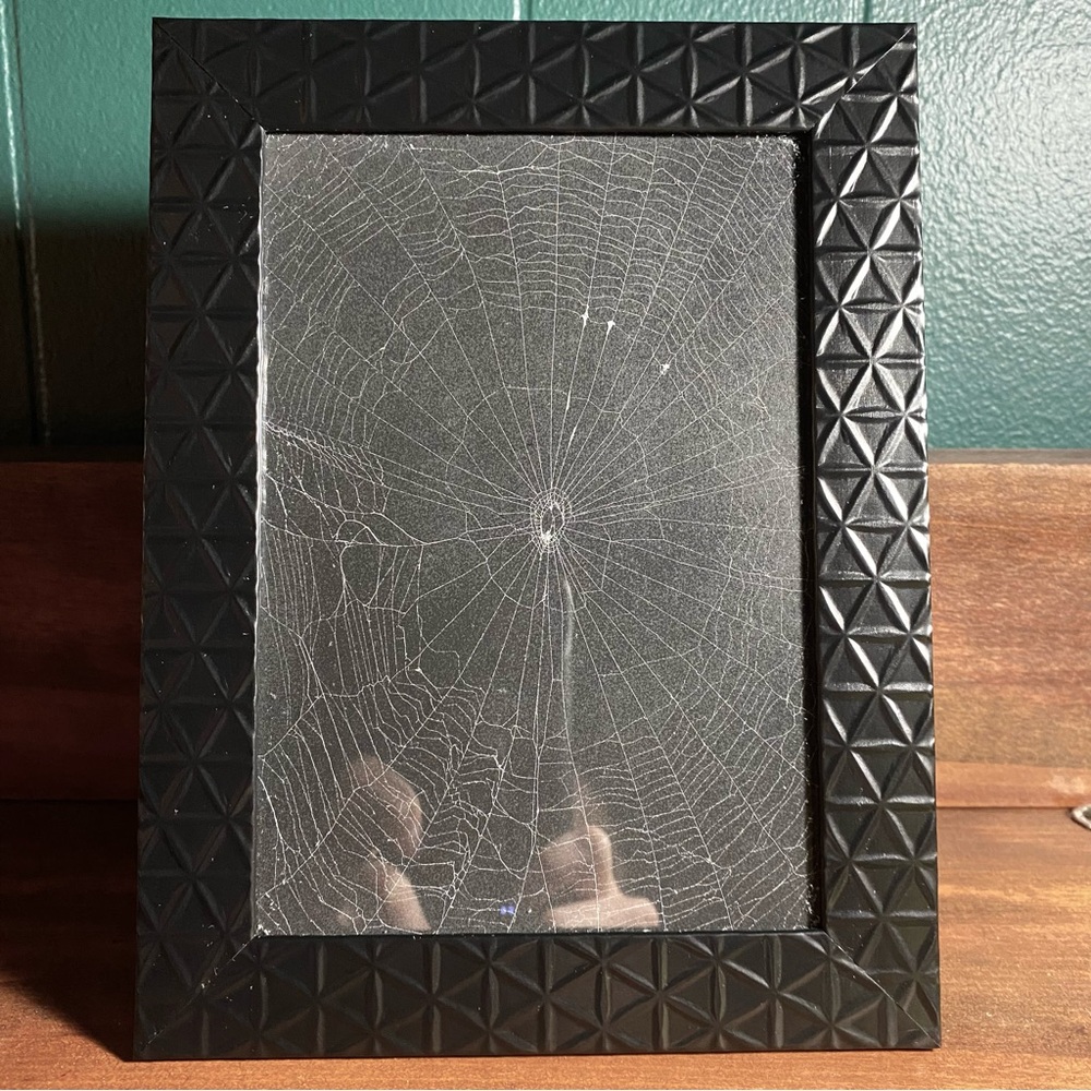 Real Spiderweb Frame 🕷️ 🕸️ - Picture 2 of 7